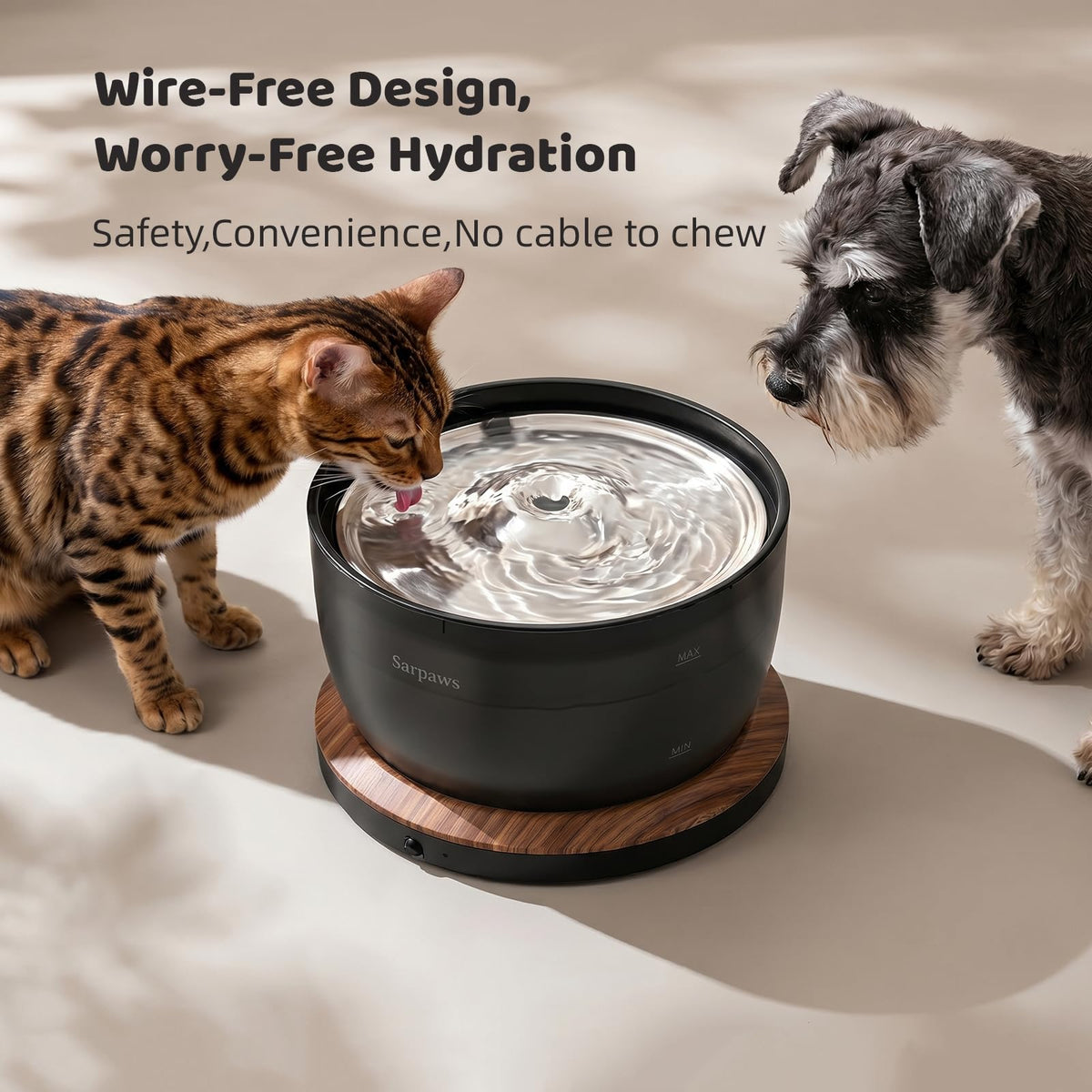 Cat Water Fountain