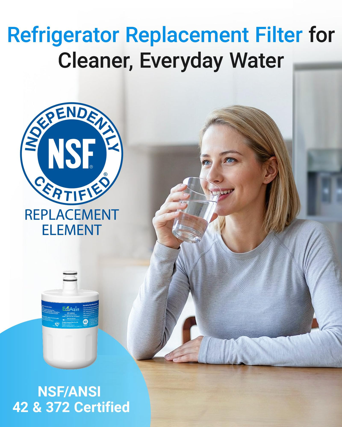 5231JA2002A Refrigerator Water Filter (1 Count (Pack of 1))