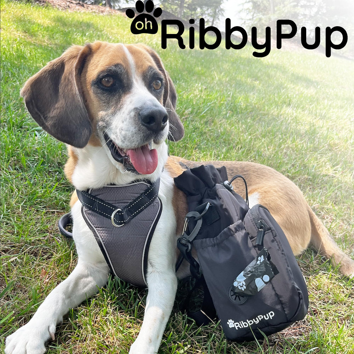 Waterproof Dog Walking Bag with Universal Water Bottle Holder (Gray)