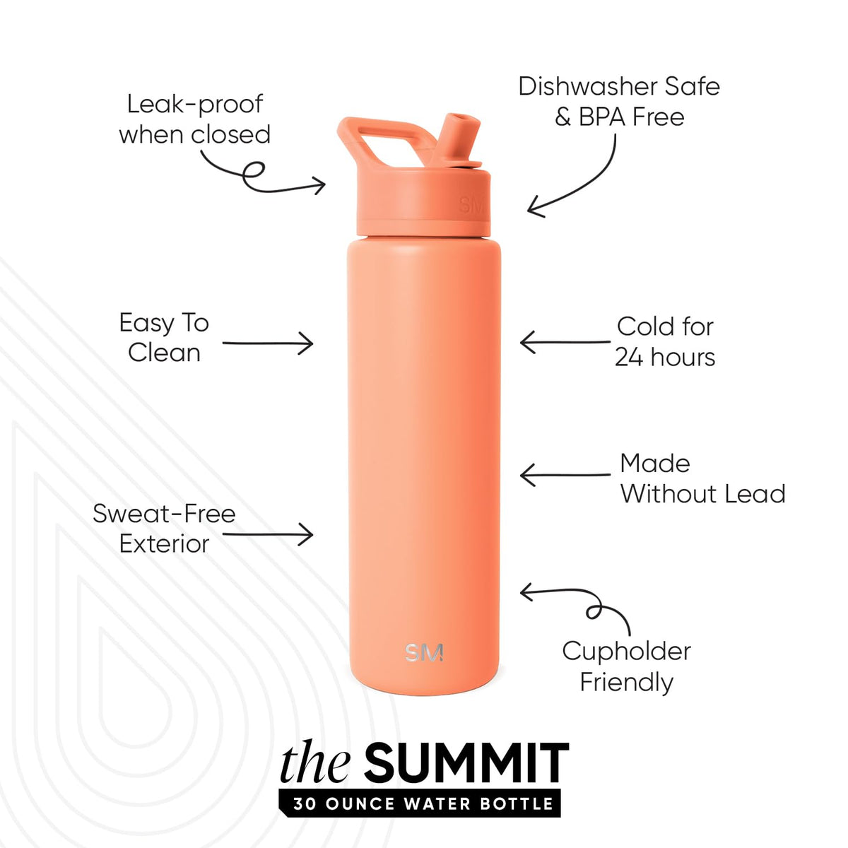 Insulated Water Bottle with Straw (30oz / Clementine (Pack of 1))